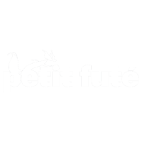 Le Petit Futé 2020